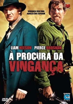 A Procura Da Vingança