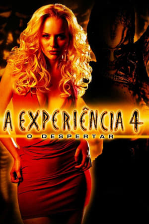 A Experiência  4